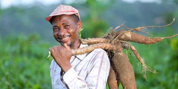 Local producers